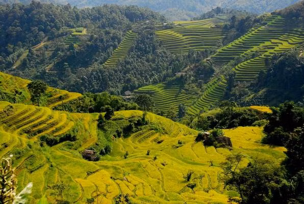 Đổi mới cách làm, mang lại hiệu quả toàn diện ảnh 2