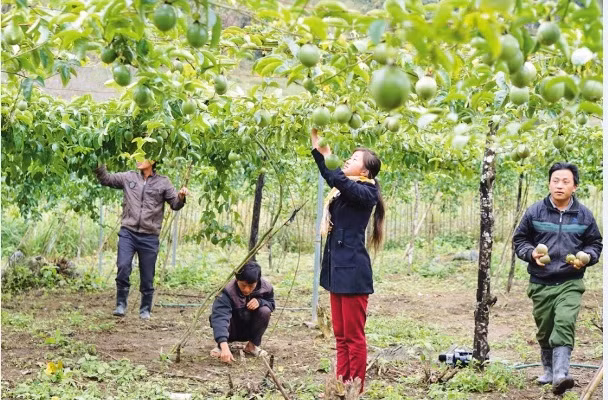 Đổi thay ở cổng trời Mường Lống ảnh 1