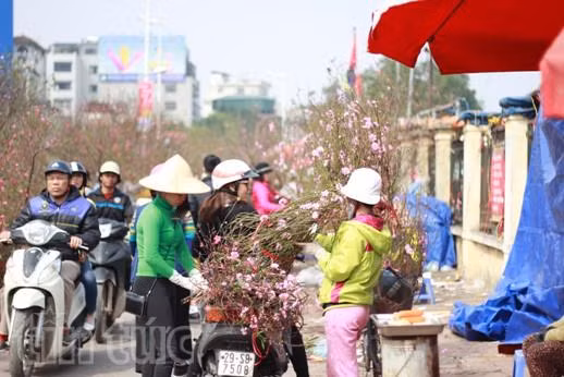 Cận Tết, giá đào Nhật Tân, quất Tứ Liên “phi mã” ảnh 1