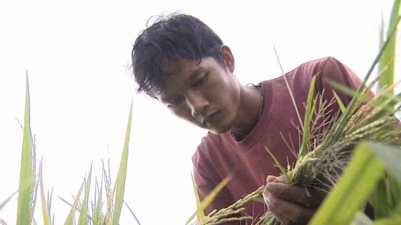 “Tết nghĩa là hy vọng” - ấm hành trình đi tìm niềm hy vọng đêm 30 Tết ảnh 4