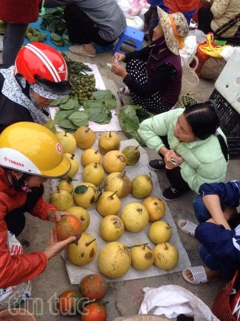 Rau quả 'cây nhà lá vườn' tại chợ Tết quê ảnh 4