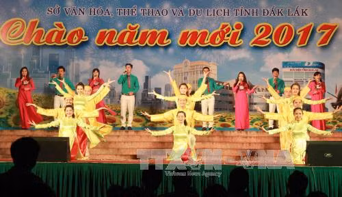 Đắk Lắk tổ chức chương trình nghệ thuật mừng Đảng, mừng Xuân mới ảnh 1