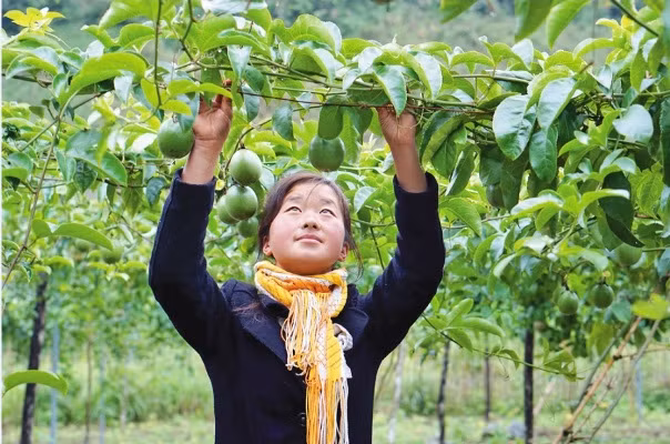 Đổi thay ở cổng trời Mường Lống ảnh 2