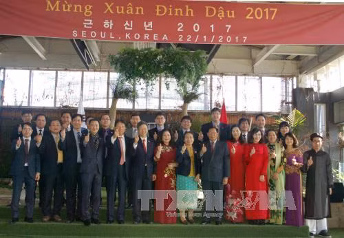 Cộng đồng người Việt tại Hà Lan mừng xuân Đinh Dậu ảnh 3