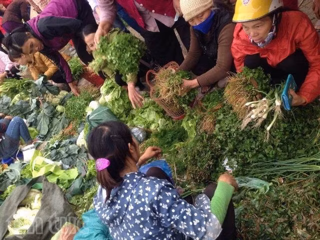 Rau quả 'cây nhà lá vườn' tại chợ Tết quê ảnh 8