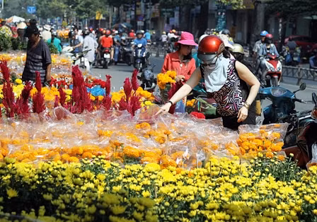Hoa tươi, cây kiểng đại hạ giá ngày 30 Tết ảnh 2