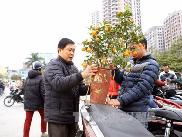 Sôi động thị trường Tết Nguyên đán Đinh Dậu ảnh 7