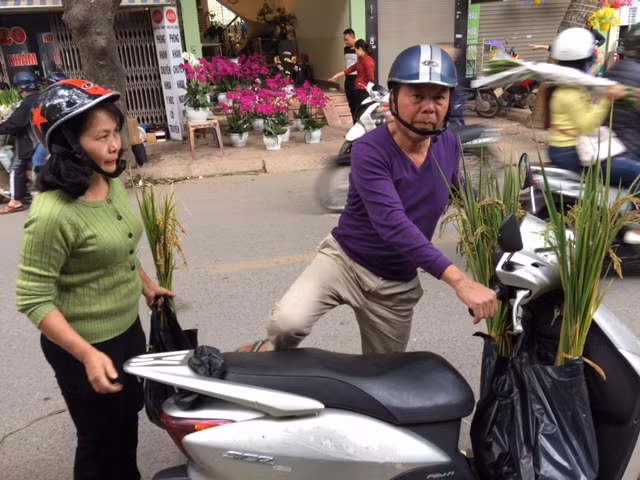 Tết 'con gà', chợ hoa cảnh Hà Nội bán thêm ...cây lúa ảnh 4