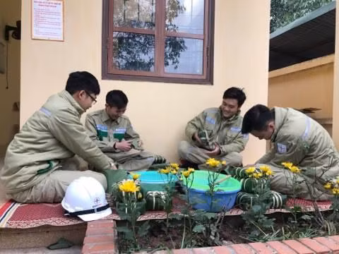 Điện cho thủ đô dịp Tết Đinh Dậu 2017: Đón trước nhu cầu điện tăng cao ảnh 1