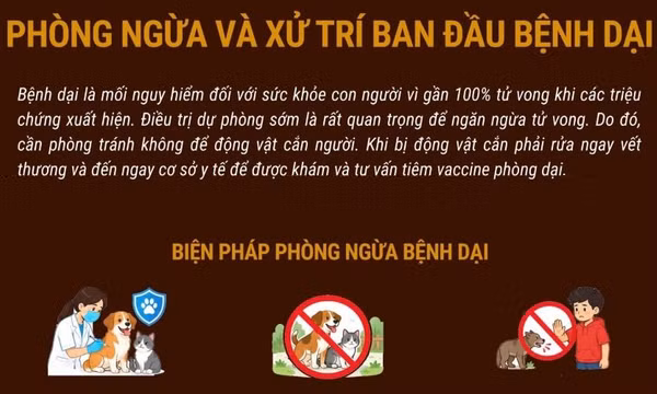 Phòng ngừa và xử trí ban đầu bệnh dại