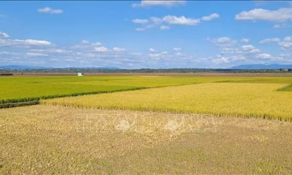 Chủ động ứng phó nguy cơ thiếu hụt nguồn nước do El Nino