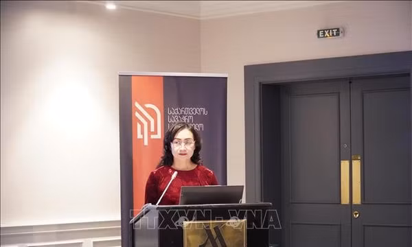 Thúc đẩy cơ hội của các doanh nghiệp Việt Nam tại Gruzia