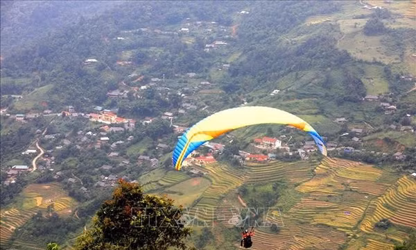 Du lịch Lào Cai: Kỳ thú bay trên mùa vàng Khau Phạ