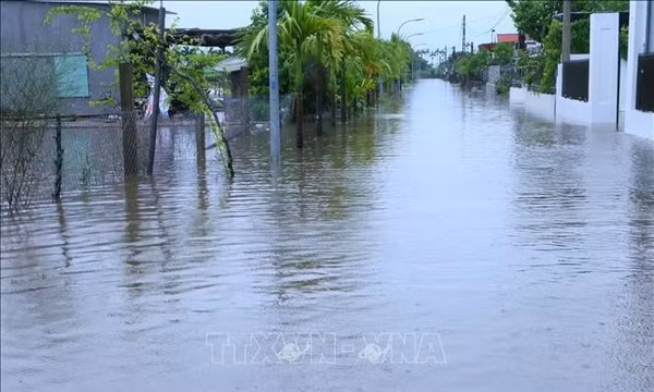 Ninh Bình: Chủ động ứng phó với mưa to kéo dài và lũ