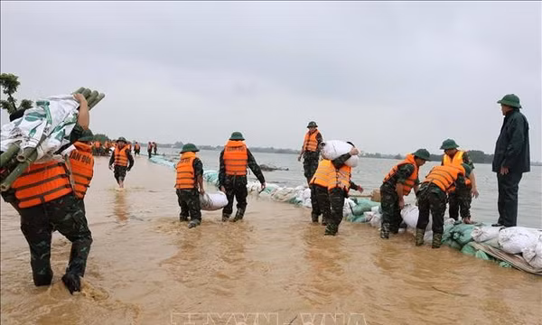 Xã Xuân Mai (Hà Nội) khẩn trương đắp đê chống lũ