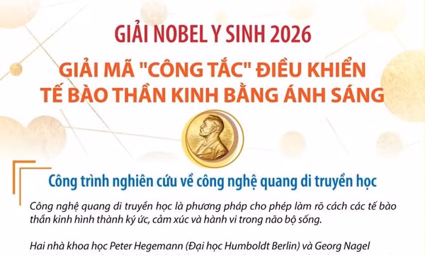 Giải Nobel Y sinh 2026: Giải mã 'công tắc' điều khiển tế bào thần kinh bằng ánh sáng