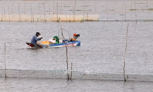 Chủ động xả lũ, đón phù sa về đồng ruộng