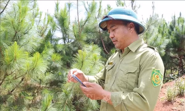 Ngăn chặn vi phạm, ứng dụng công nghệ trong giám sát, bảo vệ rừng