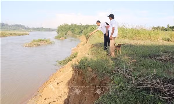 Quảng Ngãi khẩn trương kiểm tra tình trạng sạt lở bờ sông Trà Khúc
