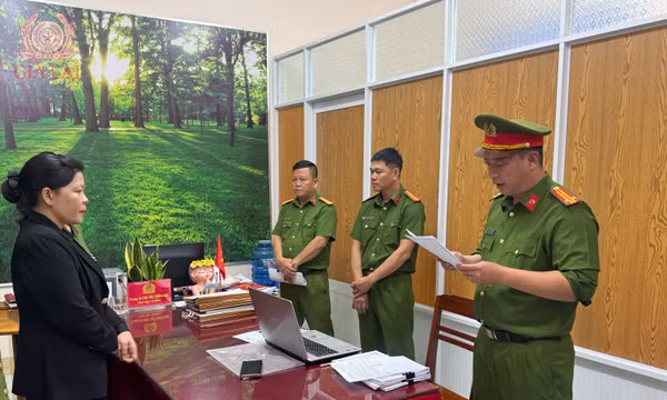 Làm rõ hành vi giáo viên trong vụ lập hồ sơ khống tại Gia Lai