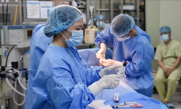 Ghép tế bào gốc từ người hiến 18 tháng tuổi cứu bệnh nhi suy tủy xương vô căn