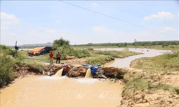 Tây Nguyên trước sức ép khô hạn kéo dài