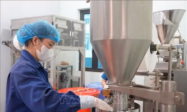 Nghị quyết 57-NQ/TW: Phát triển nông nghiệp hiện đại từ nền tảng số