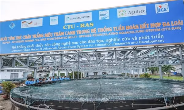Công nghệ số - động lực bứt phá tăng trưởng hai con số cho ĐBSCL