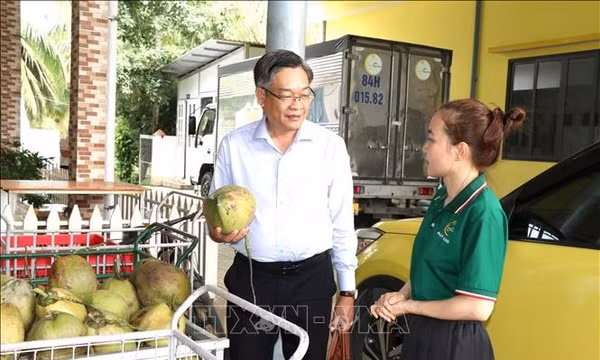 Hỗ trợ doanh nghiệp nâng giá trị, mở rộng thị trường cho sản phẩm dừa