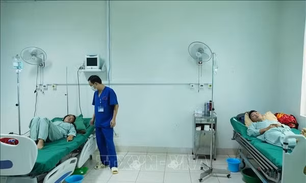 Kịp thời cứu sống 4 người bị ngộ độc do ăn nấm lạ