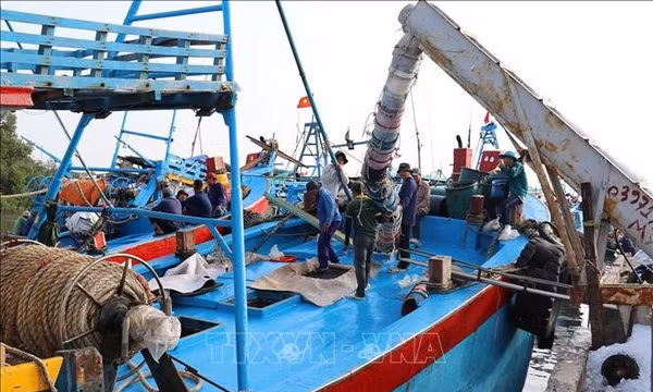 Kiểm soát xuyên suốt chuỗi dữ liệu hoạt động tàu cá