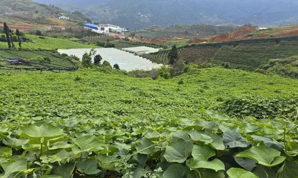 Làm giàu từ nông sản đặc hữu, công nghệ cao