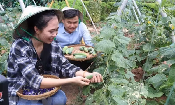 Gắn kết OCOP với du lịch nông thôn, gia tăng giá trị nông sản Việt