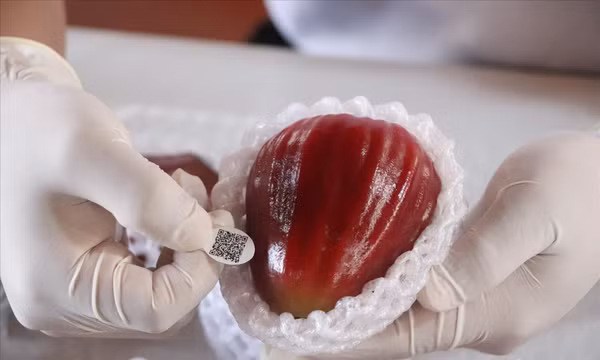 Khai thác tài sản trí tuệ thành động lực phát triển bền vững