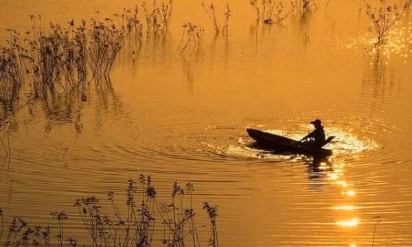 Cần thêm bằng chứng về khả năng còn rùa Hồ Gươm tại hồ Đồng Mô