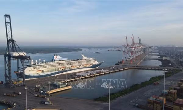 Giao 49 ha vùng biển để nhận chìm chất nạo vét luồng Vũng Tàu - Thị Vải