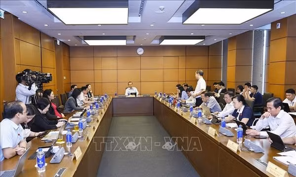 Đánh giá kỹ tác động việc tăng mức phạt vi phạm hành chính, bảo đảm công bằng và khả thi