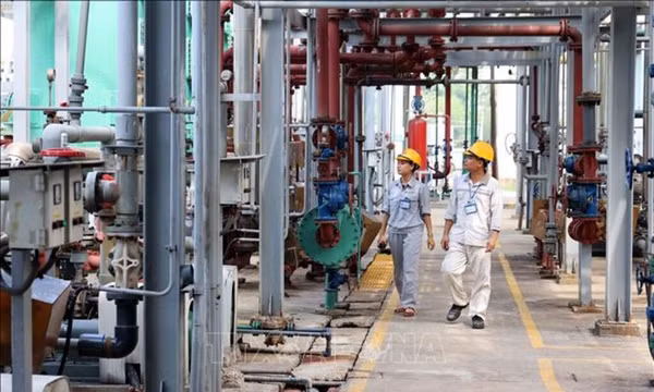 Phát triển nguồn nhân lực chất lượng cao, thúc đẩy ứng dụng khoa học