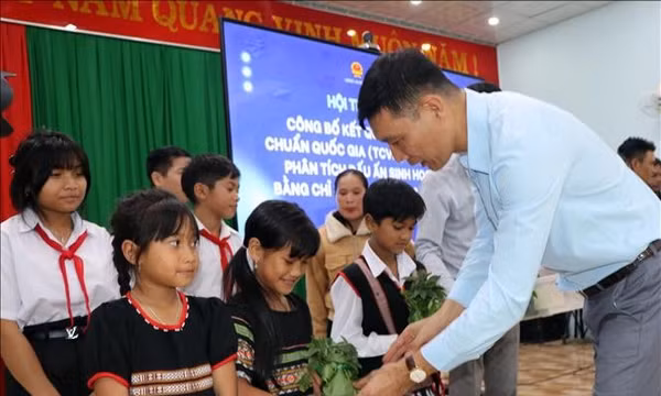 Nhận diện sâm Ngọc Linh thật, giả bằng phương pháp SSR