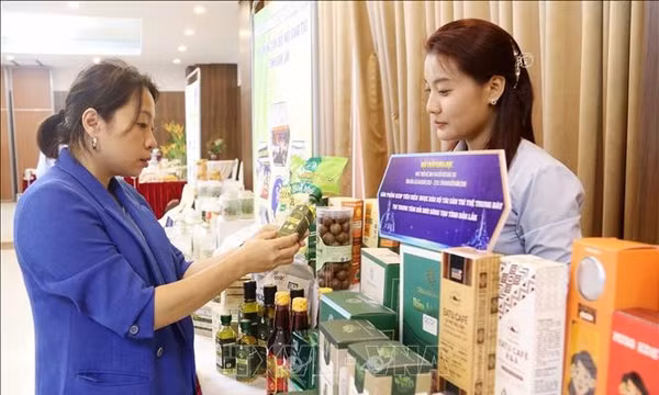 Kiến tạo động lực tăng trưởng mới dựa trên tri thức, khoa học công nghệ