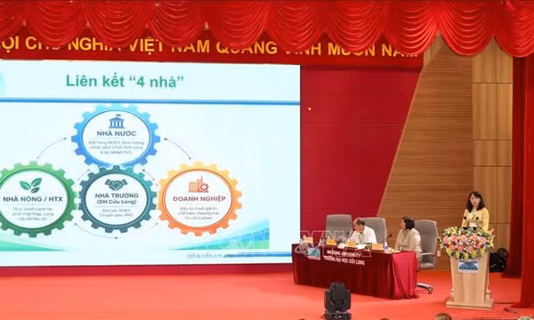 Chuyển đổi xanh, chuyển đổi số trong sản xuất lúa chất lượng cao
