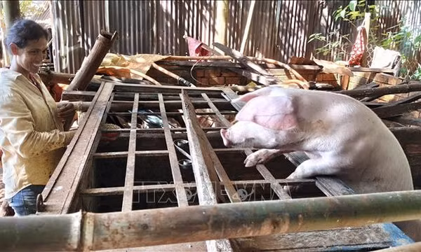 Trao 'cần câu' giúp phụ nữ thiểu số thoát nghèo