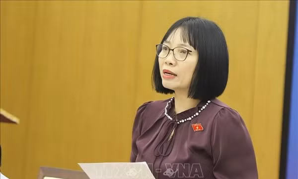 Người đại biểu bền bỉ đưa tiếng nói từ thực tiễn vào chính sách