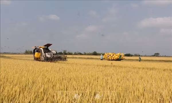 Tiêu điểm trong ngày: Nuôi dưỡng tương lai