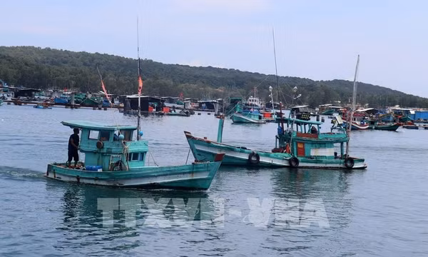 An Giang: Mở chiến dịch cao điểm phòng, chống khai thác IUU