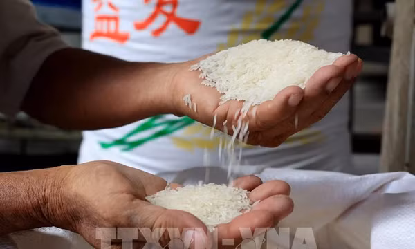 Nhập khẩu gạo của Triều Tiên từ Trung Quốc tăng mạnh