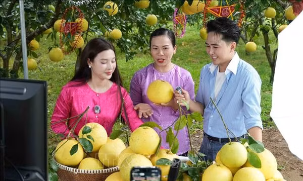 Nghị quyết 57-NQ/TW: Đưa sản phẩm OCOP vươn xa trên nền tảng số