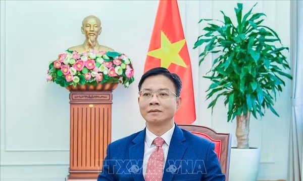 Việt Nam - UNESCO là mô hình hợp tác thành công, năng động, thực chất và hiệu quả