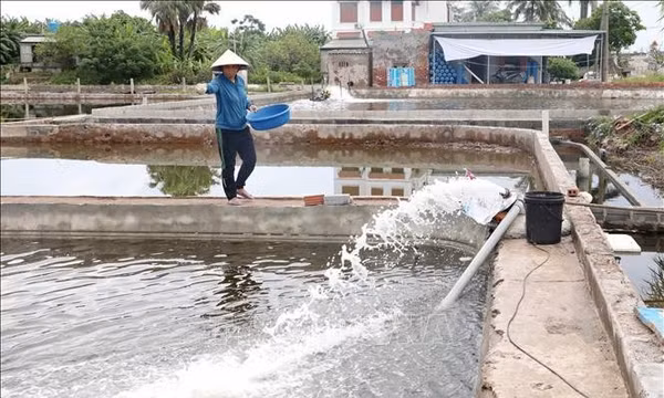 Gỡ khó về vốn, mở hướng sinh kế cho người dân