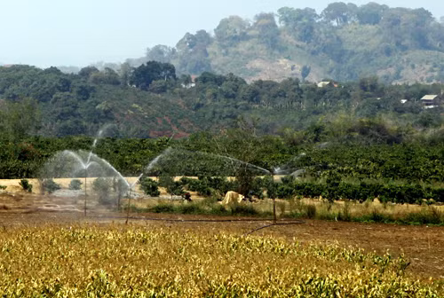 Khai thác hợp lý hồ chứa ảnh 1